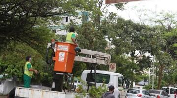 Caminhão está parado na rua. Um homem está no cesto basculante para fazer a poda de galhos de uma árvore. #Paratodosverem