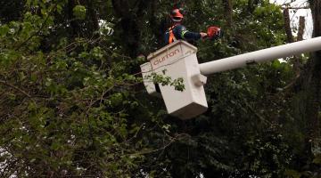 homem poda árvore em guindaste #paratodosverem 