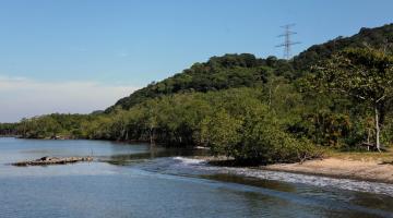 mar em praia deserta com vasta vegetação ao fundo. #participantes 