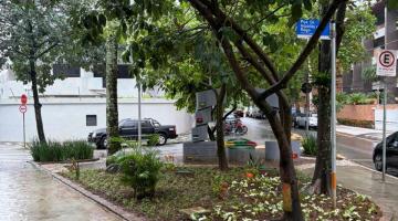 praça arborizada #paratodosverem 