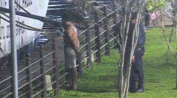 homem detido pelos guardas #paratodosverem