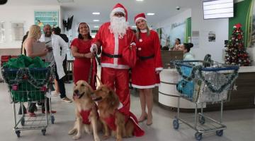 Em clima natalino, cães terapeutas levam esperança em visita à unidade de saúde de Santos