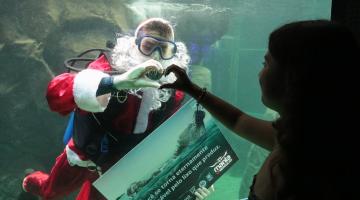 Papai Noel mergulha no Aquário de Santos para conscientizar sobre a vida marinha