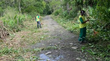 Funcionários da Regional retiram vegetação cortada de pista. #paratodosverem