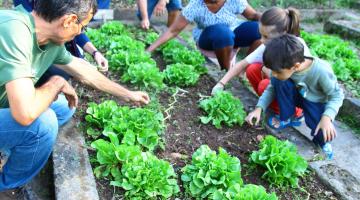 Canteiro com verduras. Crianças e adultos estão mexendo na terra e nas hortaliças. #Pracegover