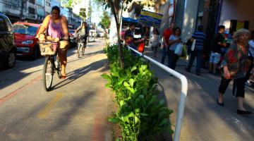 mudas plantadas na ciclovia enquanto ciclista passa de bicicleta #pracegover 