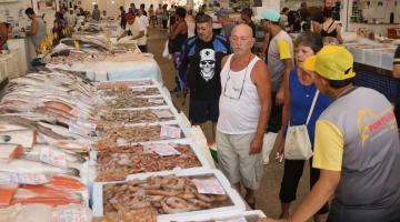 Mercado de Peixes de Santos oferece camarão a partir de R$ 29,99 em mais um festival de descontos