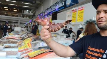 colose de camarão na mão de um vendedor. Balcões de peixe ao fundo #paratodosverem 