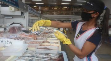 Com preços especiais, Mercado de Peixes, em Santos, terá festivais da tainha e da sardinha simultaneamente