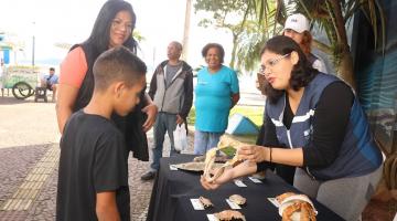 mulher mostra mandíbula com dentes de animal marinho para criança. #paratodosverem