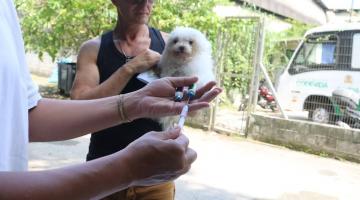 mãos seguram seringa com agulha em frente um homem que stá segurando um cão. Ao fundo, o ônibus da codevida. #paratodosverem 