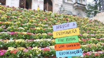 Primavera Criativa floresce em Santos com arte, música e criatividade no primeiro sábado da estação