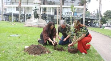 três pessoas plantam uma árvore em praça. #paratodosverem