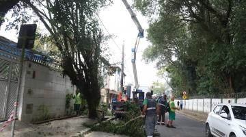Reparos nas ruas após forte ventania em Santos devem continuar até domingo
