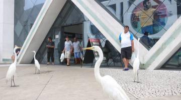 fachada do Mercado de Peixes com garças na frente