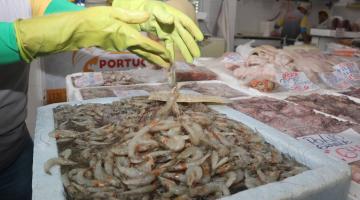 Festival no Mercado de Peixes de Santos oferece camarão com 21% de desconto