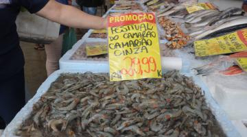 Festival do camarão no Mercado de Peixes de Santos é prorrogado
