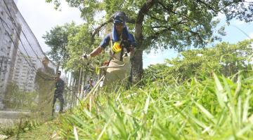 homem cortando grama #paratodosverem 