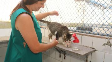 gato está bebendo água em copinho. Mulher está em pé ao lado dele. #paratodosverem