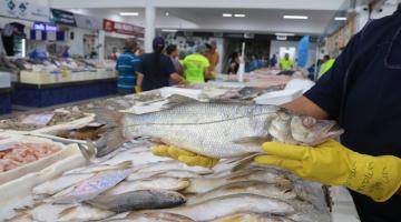 pessoa mostra peixe com mercado ao fundo #paratodosverem 