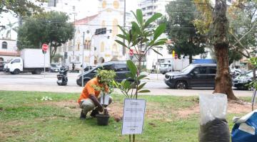 homem planta árvore ao fundo, muda em primeiro plano. #paratodosverem