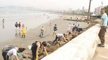 pessoas estão recolhendo lixo entre rochas junto à mureta na ponta da praia. Próximo à água, margaridas rastelam a faixa de areia. #paratodosverem