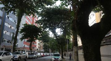 vista geral da via com árvores dos dois lados da calçada. #paratodosverem