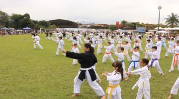 várias criança praticam caratê - todas em golpes idênticos, como uma coreografia, sobre um gramado. #paratodosverem