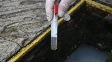 mão segura tubo de ensaio com larvas acima de um ralo aberto. #paratodosverem 