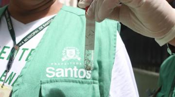 close sobre tubo de ensaio com larvas. Mãos de uma pessoa uniformizada seguram o tubo. #paratodosverem 