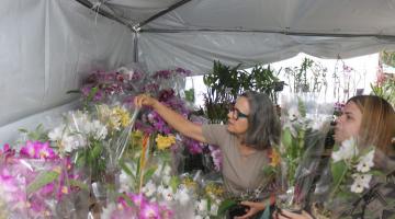 mulher observa flor #paratodosverem