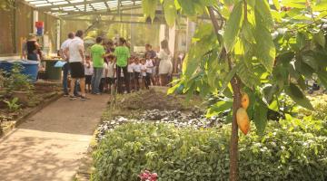 ambiente de plantas com crianças ao fundo. #paratodosverem