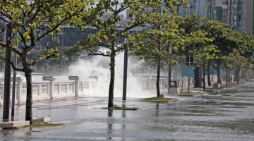 imagem na orla de água no calçadão da avenida junto a árvores e a mureta. #paratodosverem