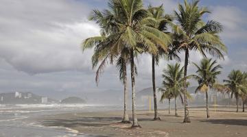 mar avança até a altura das palmeiras na orla de Santos. #paratodosverem