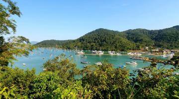 Imagem de vegetação, mar com barcos e morro ao fundo #paratodosverem