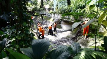 Limpeza no Orquidário remove 10 toneladas de folhas de canais 