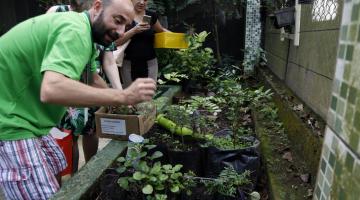 Jardim Botânico faz doação de mudas na Semana da Primavera