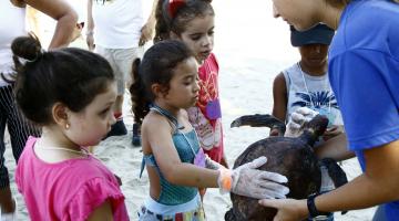 Na areia da praia, crianças aprendem sobre reprodução das tartarugas