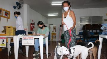 Mulher segura dois cachorros na coleira, enquanto mulher está sentada fazendo anotações. #paratodosverem