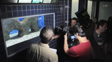 equipe grava cena de aquário #pracegover 