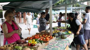 Agenda de Saúde do Servidor inicia com alerta sobre produtos com agrotóxico