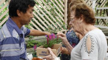 Feiras de orquídeas e de orgânicos no trajeto da Linha Conheça Santos