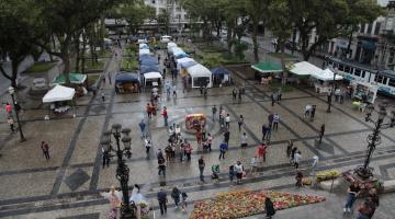 barracas montadas na praça mauá, movimento de pessoas e a escadaria da prefeitura repleta de vasos floridos. #paratodosverem