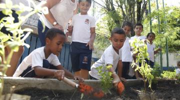 Horta em escola aproxima crianças da natureza. Veja galeria de imagens