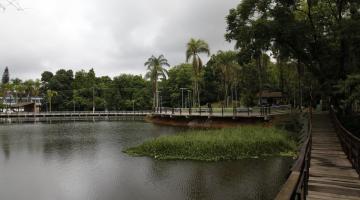 plantas aquáticas acumuladas próximo à margem. #Paratodosverem