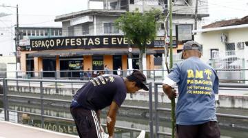 Muda de ipê é plantada em calçada ao lado de canal. Dois homens fazem o serviço. A muda tem cerca de três metros. #Pracegover