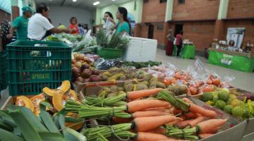 Feira de orgânicos é montada na Aparecida nesta terça