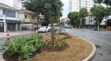 canteiro em via com gramado e mudas de árvores. #paratodosverem