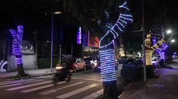 vista geral da rua com árvores naturais decoradas com cordões de luzes nos troncos. #paratodosverem