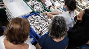 imagem do alto mostra mulheres à frente de balcão com caixas repletas de sardinhas. Uma delas, uniformizada, mexe em uma das caixas. #paratodosverem